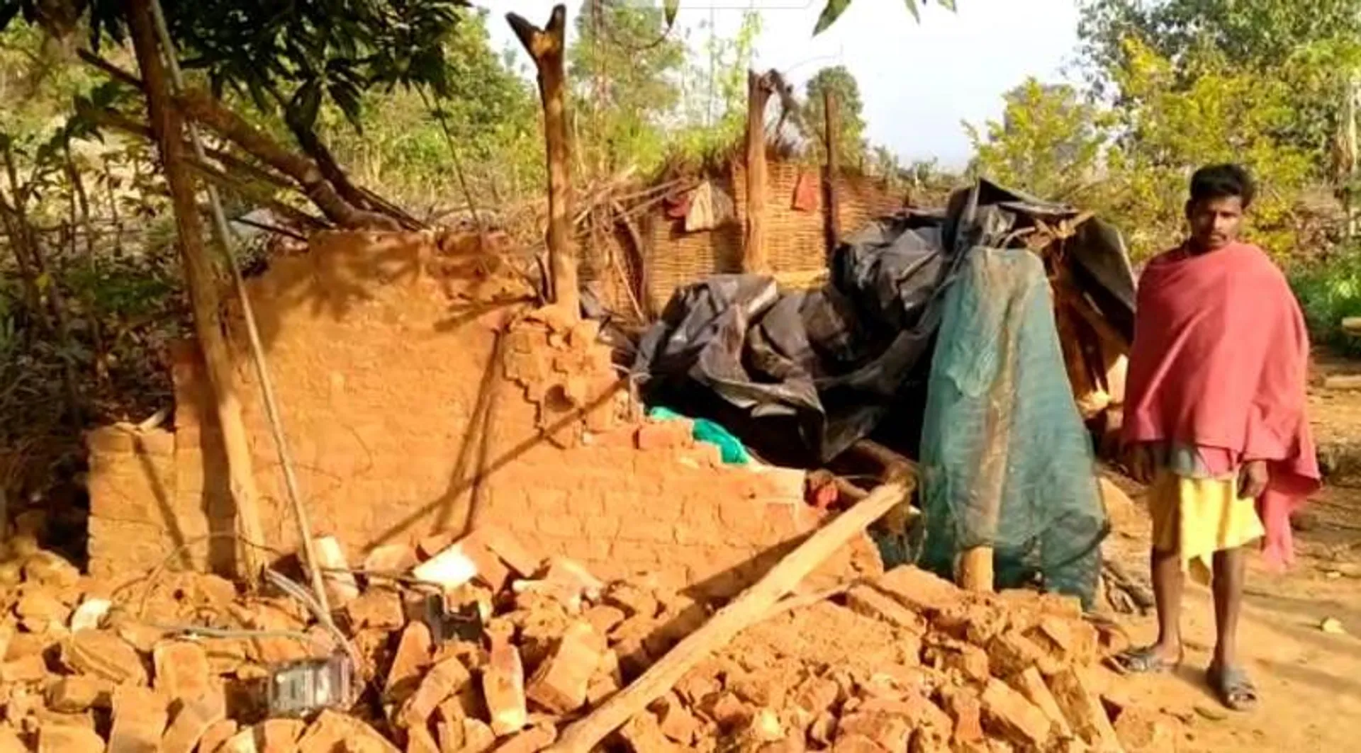 ରିଆମାଳ ବ୍ଲକ୍‌ରେ ଦନ୍ତା ଉପଦ୍ରବ: ପରିବା ନଷ୍ଟ କଲେ, ଘର ଭାଙ୍ଗିଲେ