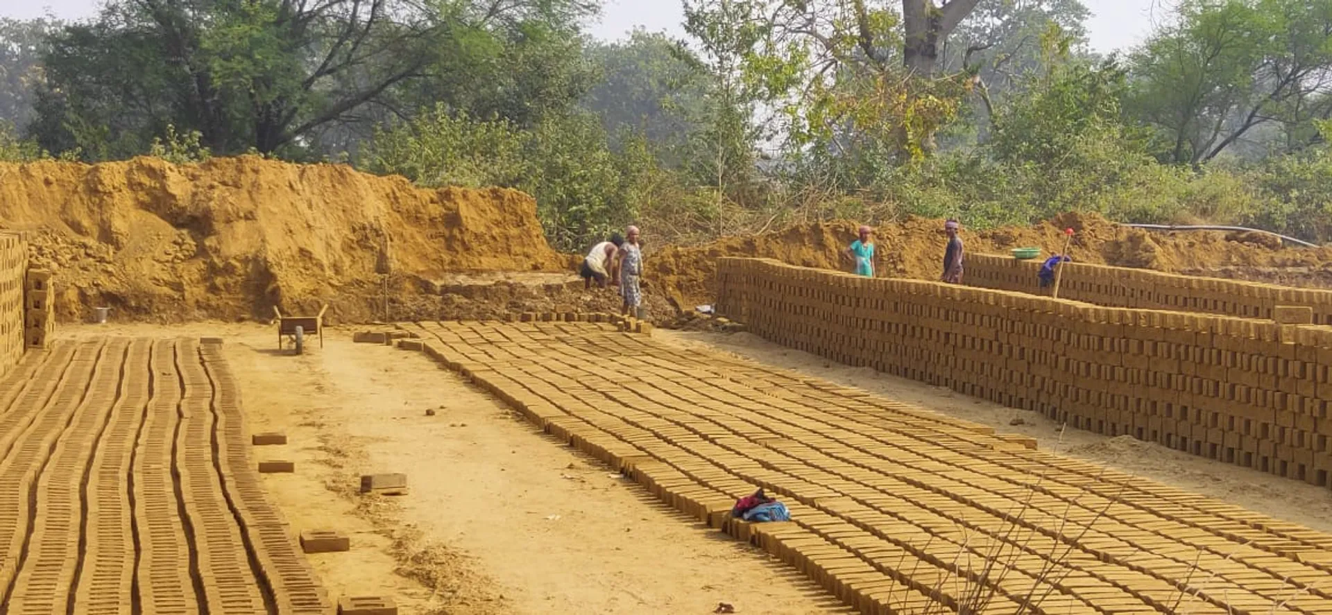 ଆନ୍ଧ୍ରପ୍ରଦେଶରେ ଫସିଛନ୍ତି ୫ ଶ୍ରମିକ, ଉଦ୍ଧାର କରିବାକୁ ଭିଡିଓ ବାର୍ତ୍ତା ଜାରି