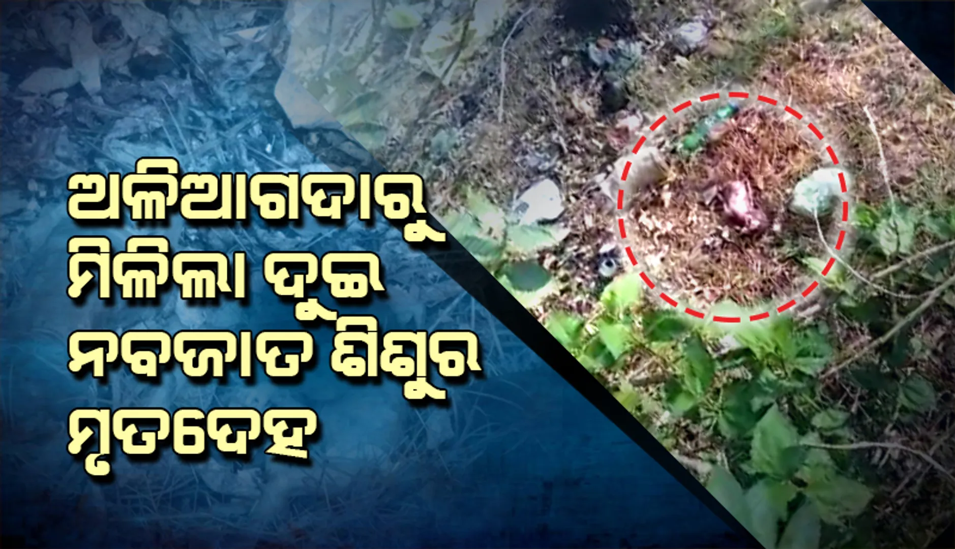 ଅଳିଆଗଦାରୁ ଦୁଇ ନବଜାତ ଶିଶୁଙ୍କ ମୃତଦେହ ଉଦ୍ଧାର