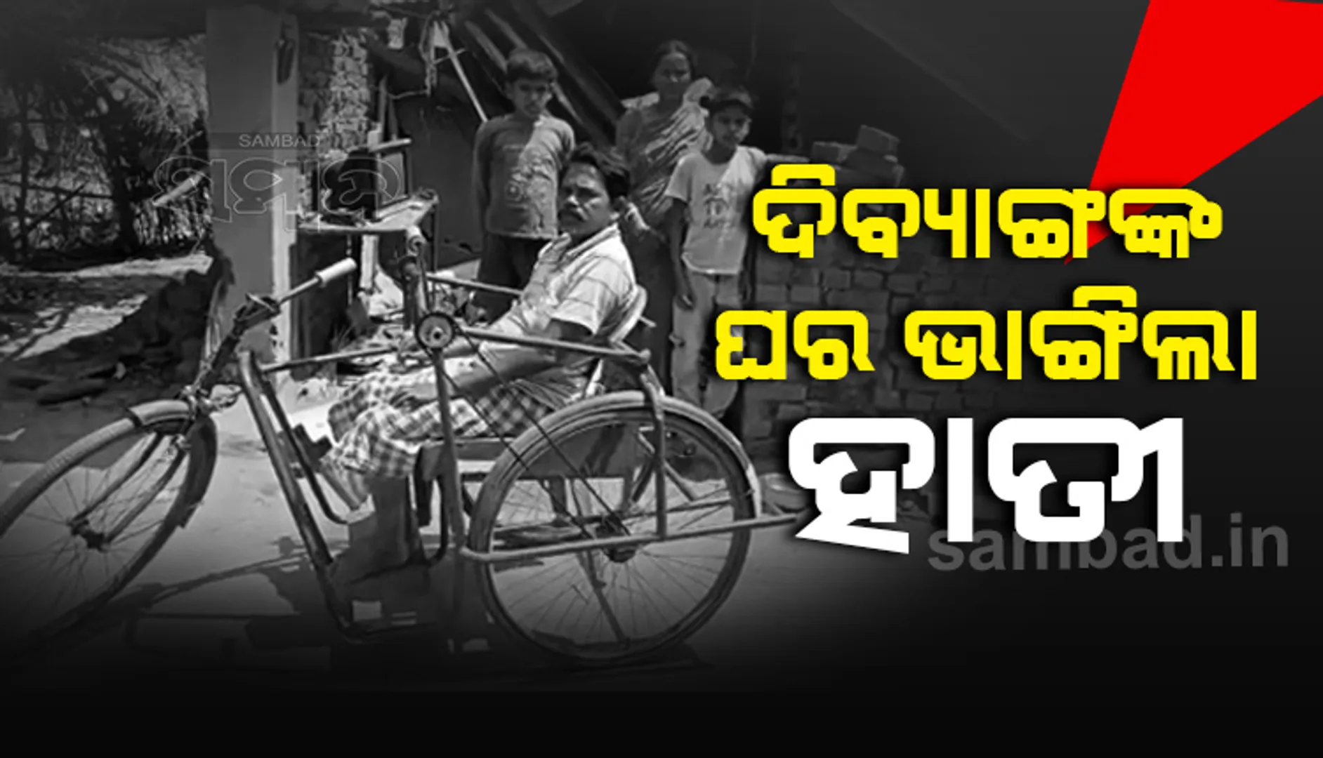 ଝିଅ କାନ୍ଦୁଥିବା ବେଳେ ପାଟିରେ କପଡ଼ା ଦେଇ ବସିଥିଲେ ମା’, ବାହାରେ ଘର ଭାଙ୍ଗୁଥିଲା ବଣୁଆ ହାତୀ