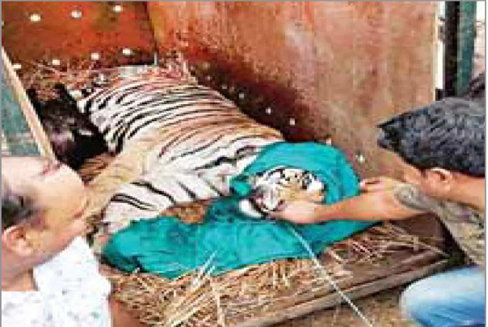 ସାତକୋଶିଆ ଛାଡ଼ିଲା ସୁନ୍ଦରୀ, ଅଢେଇ ବର୍ଷ ଧରି ଲାଗି ରହିଥିବା କଳ୍ପନାଜଳ୍ପନାର ଅନ୍ତ
