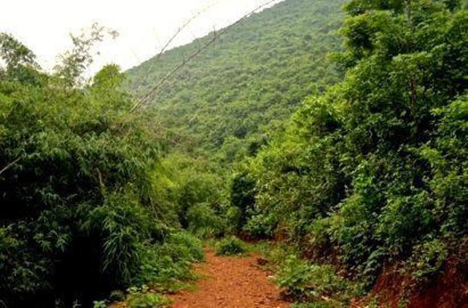 ସ୍ୱତନ୍ତ୍ର ଜିଲ୍ଲା ହେବା ତିନି ଦଶନ୍ଧି ବିତିଲା, ନିର୍ଦ୍ଧାରିତ ହୋଇପାରିଲାନି ନାମ