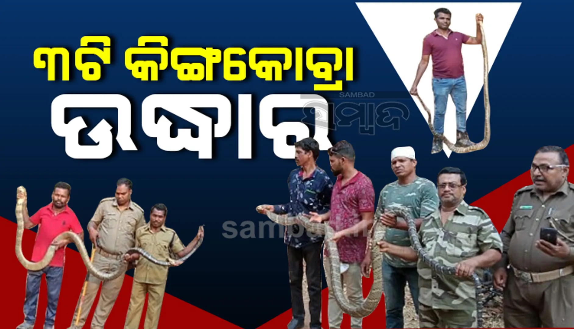 କ୍ରୀଡ଼ାରତ ୩ ଅହିରାଜ ଉଦ୍ଧାର, ନୂଆବସ୍ତ୍ର ବିଛାଇଲେ ସ୍ଥାନୀୟ ଲୋକେ