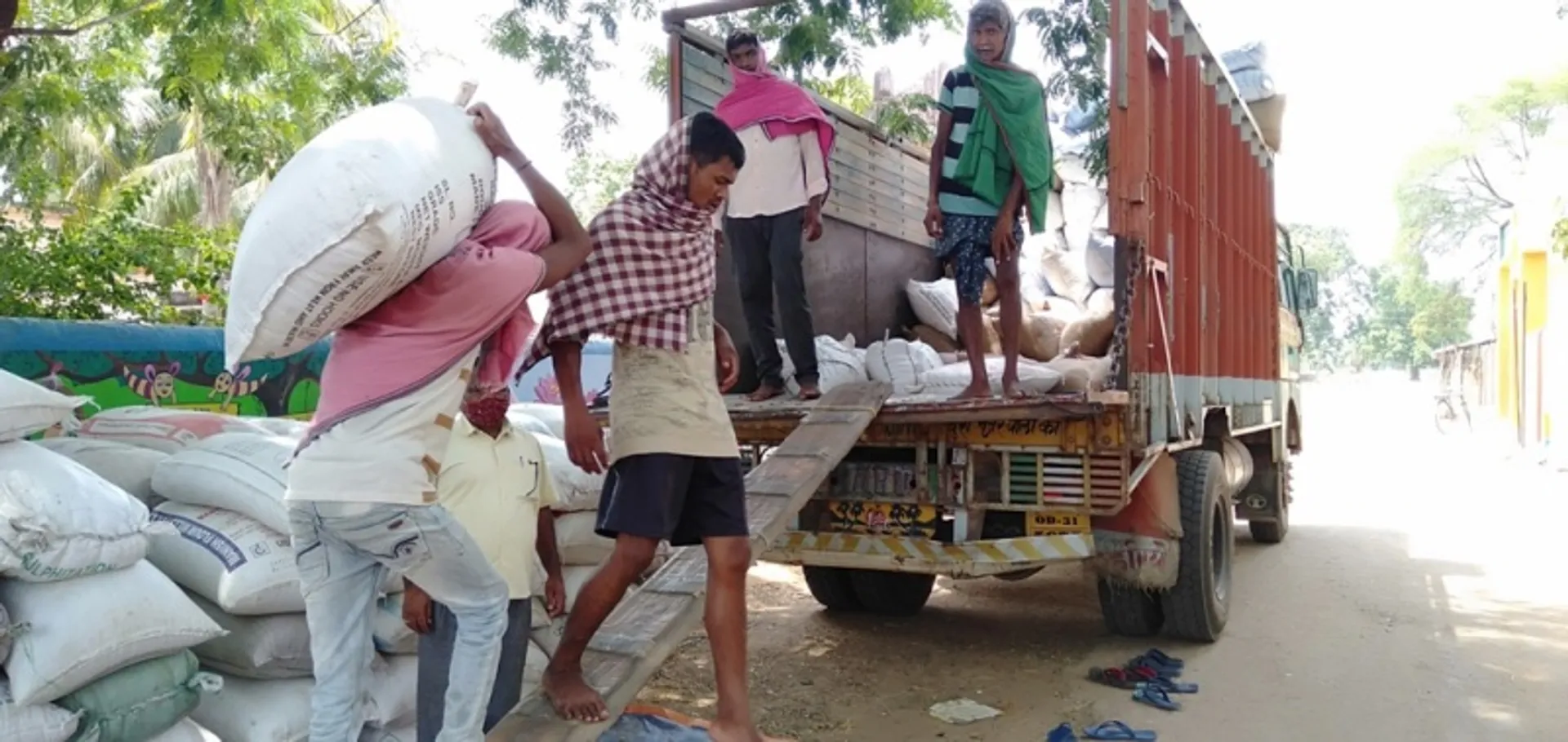କୁଲୁତାଯୋର ପେକ୍ସ ପକ୍ଷରୁ ରବି ଧାନ କ୍ରୟର ଶୁଭାରମ୍ଭ