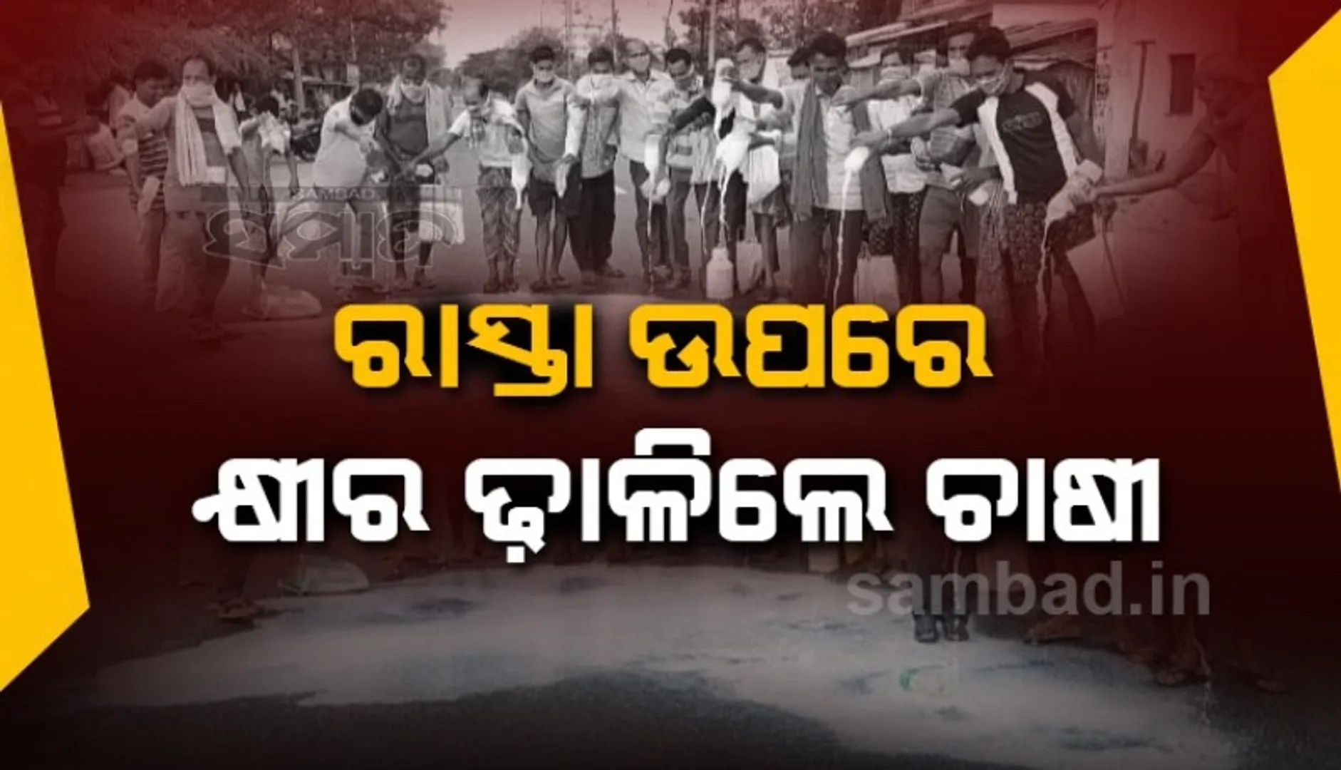 ବିକ୍ରି ହେଲାନି କ୍ଷୀର, ରାସ୍ତାରେ ଢ଼ାଳିଲେ ଚାଷୀ