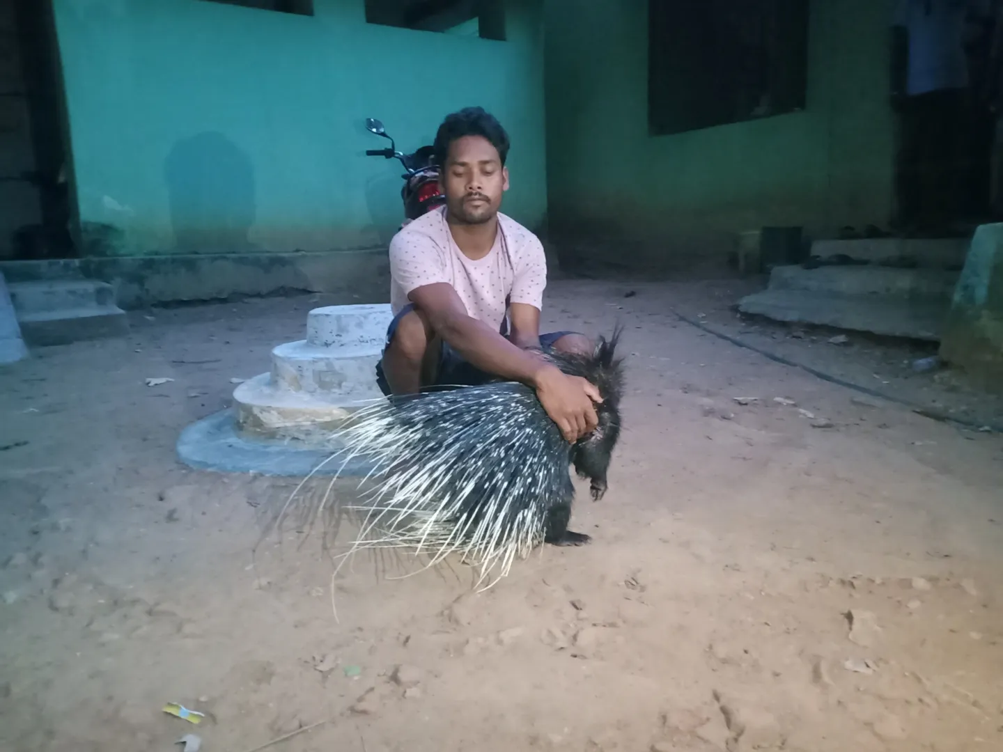 କଣ୍ଟାମାଳ : ଜଙ୍ଗଲି ଝିଙ୍କ ଉଦ୍ଧାର