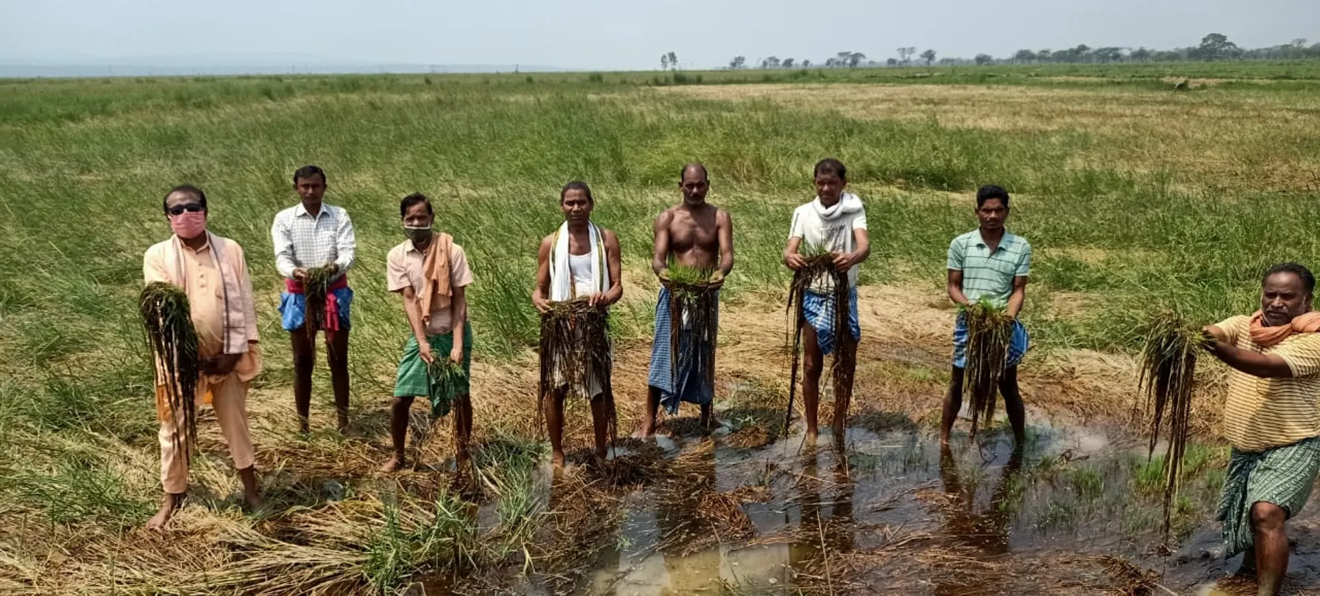 କରୋନା ଲକ୍‌ଡାଉନ୍‌ ମାଡ଼: ସଂକଟରେ ଚାଷ ଓ ଚାଷୀ, ରବି ବିକ୍ରି ସରିନି ଖରିଫ ଆସିଲାଣି