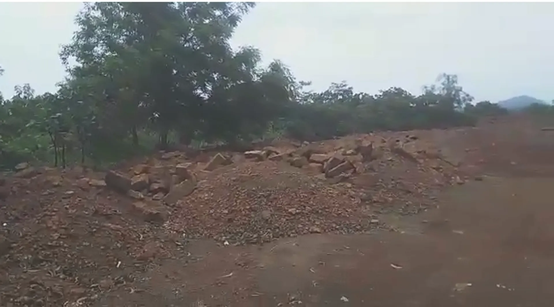 ୨୪ ମାଙ୍କଡ଼ା ଖଣିରେ ମାଫିଆରାଜ: ଶୋଇଛି ରାଜସ୍ବ ବିଭାଗ, ଚେଇଁଲା ବନ ବିଭାଗ