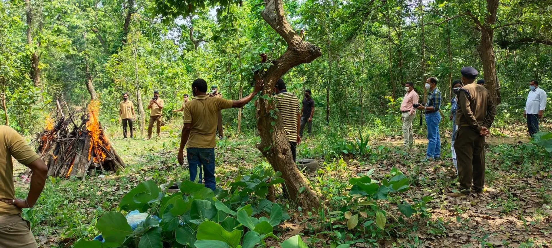 ଦୁର୍ଘଟଣାରେ ମୃତ ବାଘର ଦାହ-ସତ୍କାର