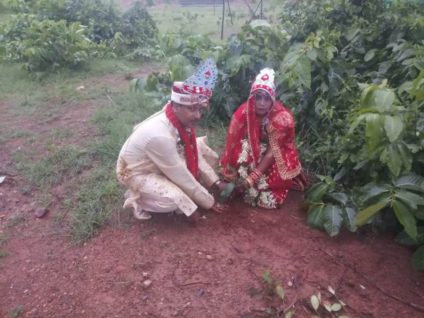 ନବବିବାହିତ ଶିକ୍ଷକ ଦମ୍ପତିଙ୍କ ନିଆରା ପ୍ରୟାସ: ପତିପତ୍ନୀ କଲେ ବୃକ୍ଷରୋପଣ