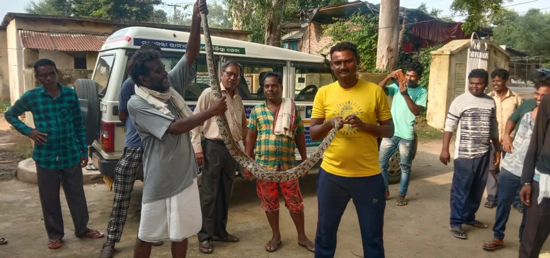 ଘର ଭିତରୁ ସାଢ଼େ ୬ ଫୁଟ୍‌ର ଅଜଗର ଉଦ୍ଧାର
