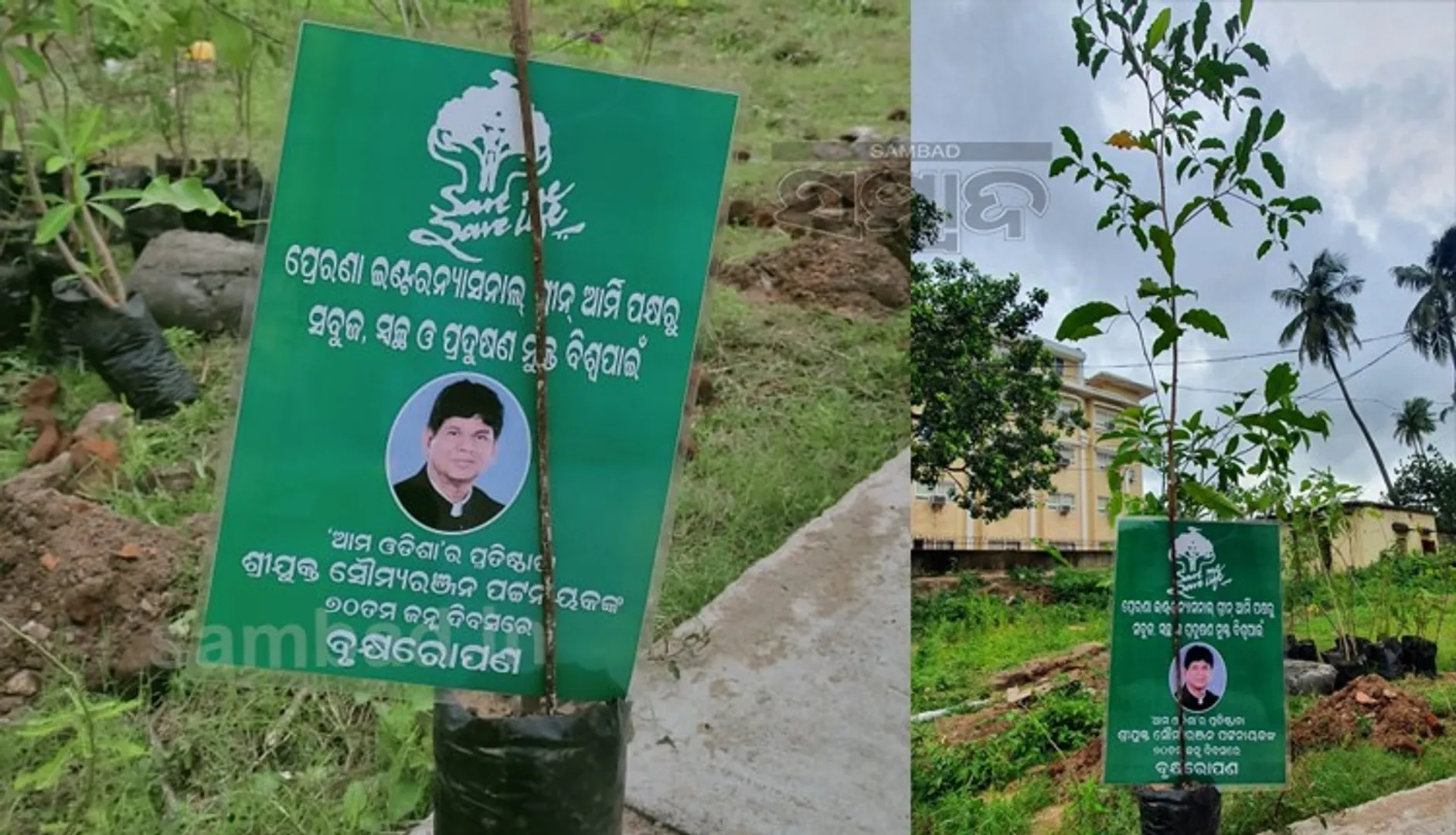 ’ସମ୍ବାଦ’ର ସମ୍ପାଦକ ସୌମ୍ୟରଂଜନ ପଟ୍ଟନାୟକଙ୍କ ୭୦ତମ ଜନ୍ମ ଦିବସ ଅସବରରେ ପୁରୀରେ ବୃକ୍ଷରୋପଣ କାର୍ଯ୍ୟକ୍ରମ।