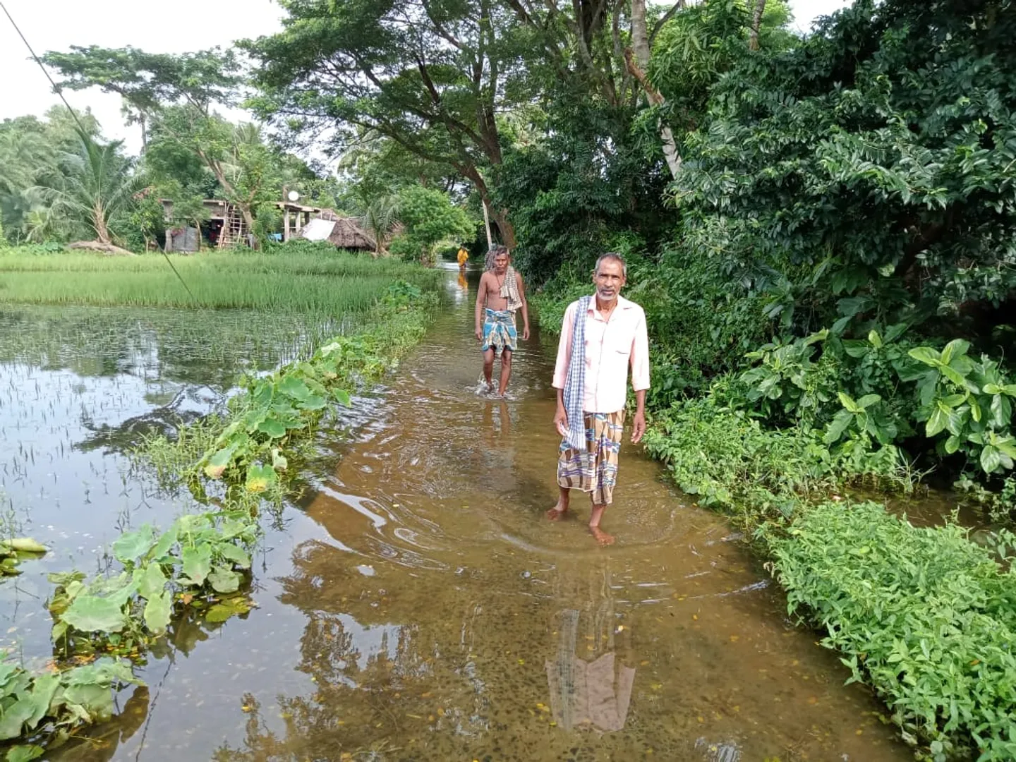 ୬ ଦିନ ହେଲା ପାଣି ଘେରରେ କୋଷ୍ଠୀମାଲିକାପୁର ଓ ସରଦୋଳା ଜେନା ସାହି:  ଏଯାଏଁ ରିଲିଫ୍ ମିଳିନାହିଁ