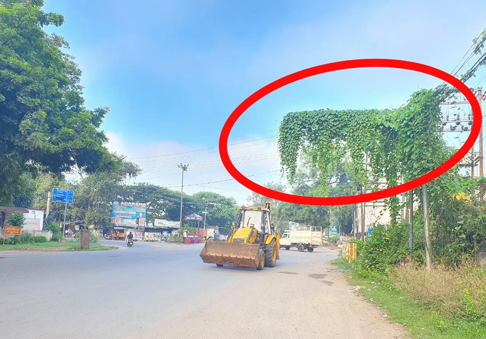 କାମରେ ଆସୁନି ଷ୍ଟ୍ରିଟ୍‌ ଲାଇଟ: ଟ୍ରାଫିକ ସିଗନାଲ ଉପରେ ମାଡ଼ିଗଲା ଲତା । (ଫଟୋ: ସୁଜିତ, ନାଲକୋ ନଗର, ଅନୁଗୁଳ)