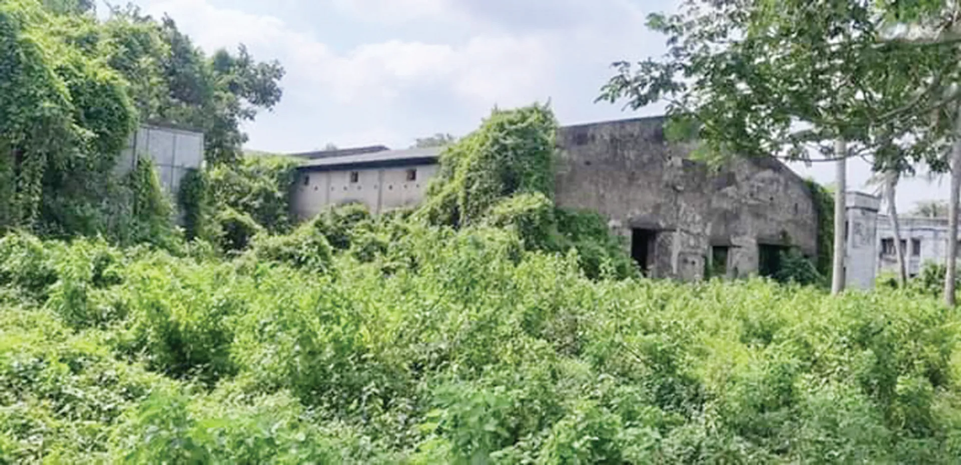 ରାଜନେତାଙ୍କ ନିର୍ବାଚନ ଅସ୍ତ୍ର ପାଲଟିଛି ସାରଳା ସୂତାକଳ, ୨୦୦ କୋଟିର ପୋଲ ହେଉଛି, ସୂତାକଳ ପୁନରୁଦ୍ଧାର କେବେ?