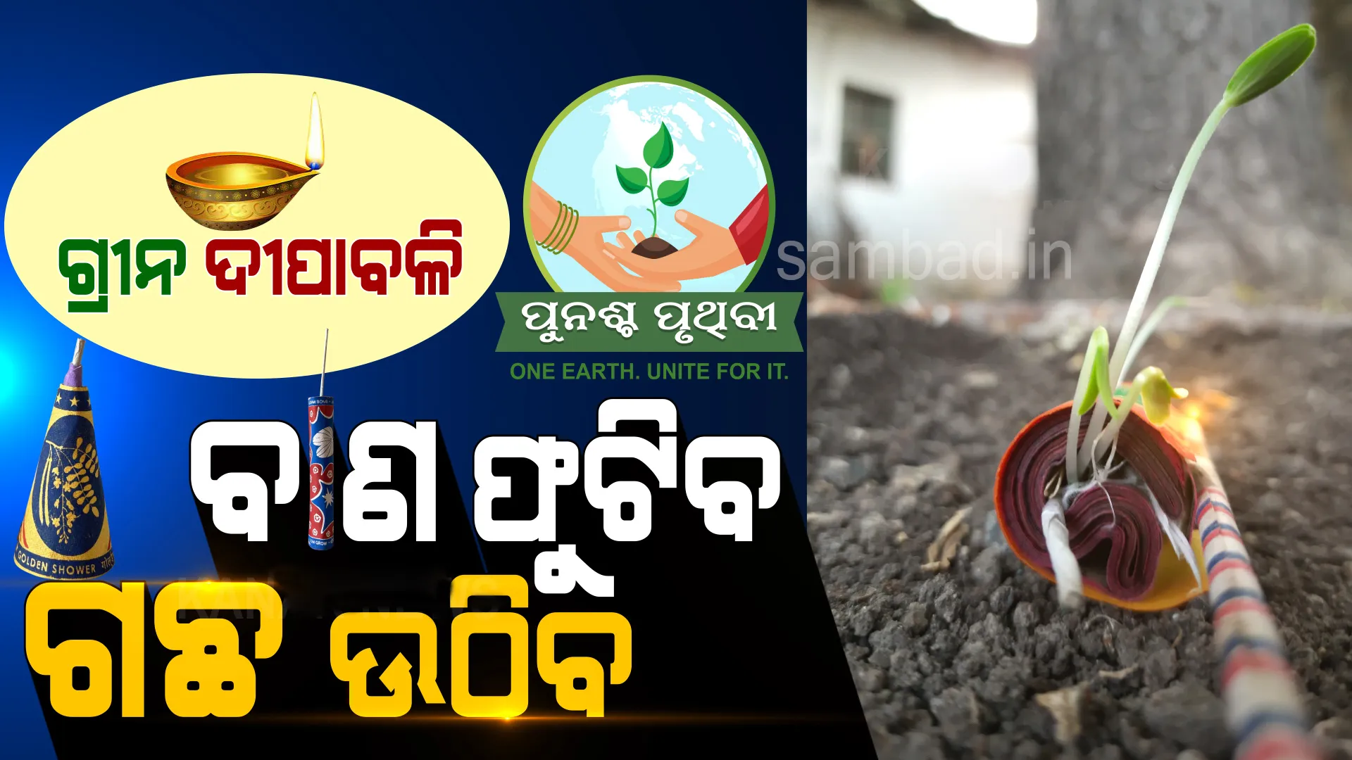 ଏଥର ଦୀପାବଳିରେ ବାଣ ଫୁଟାଇବା ମନା, କିନ୍ତୁ ବିନା କଟକଣାରେ ଫୁଟାଇପାରିବେ ‘ସିଡ୍ କ୍ରାକର୍’
