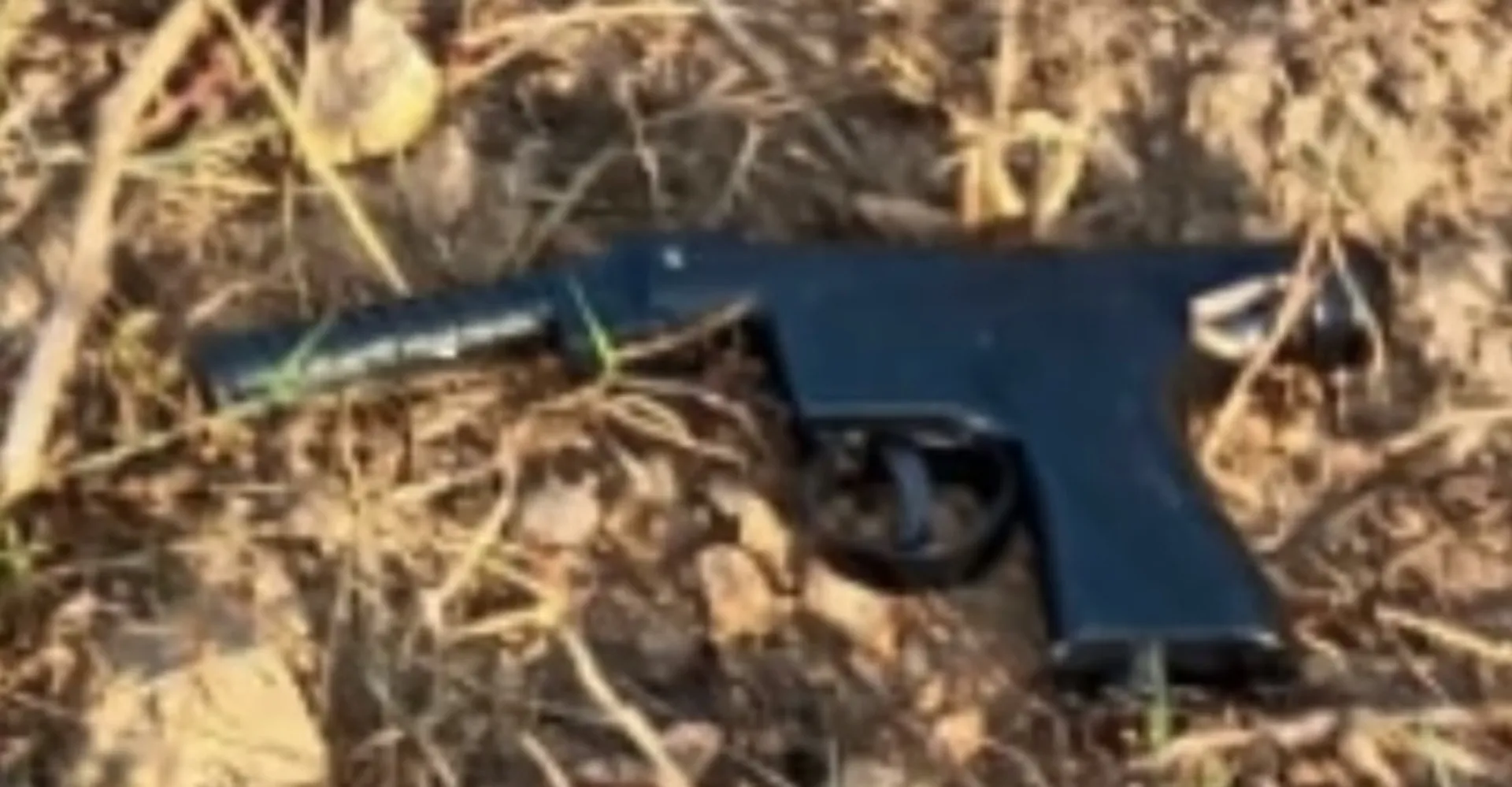 ଖେଳନା ବନ୍ଧୁକ ଦେଖାଇ ଲୁଟ୍‌