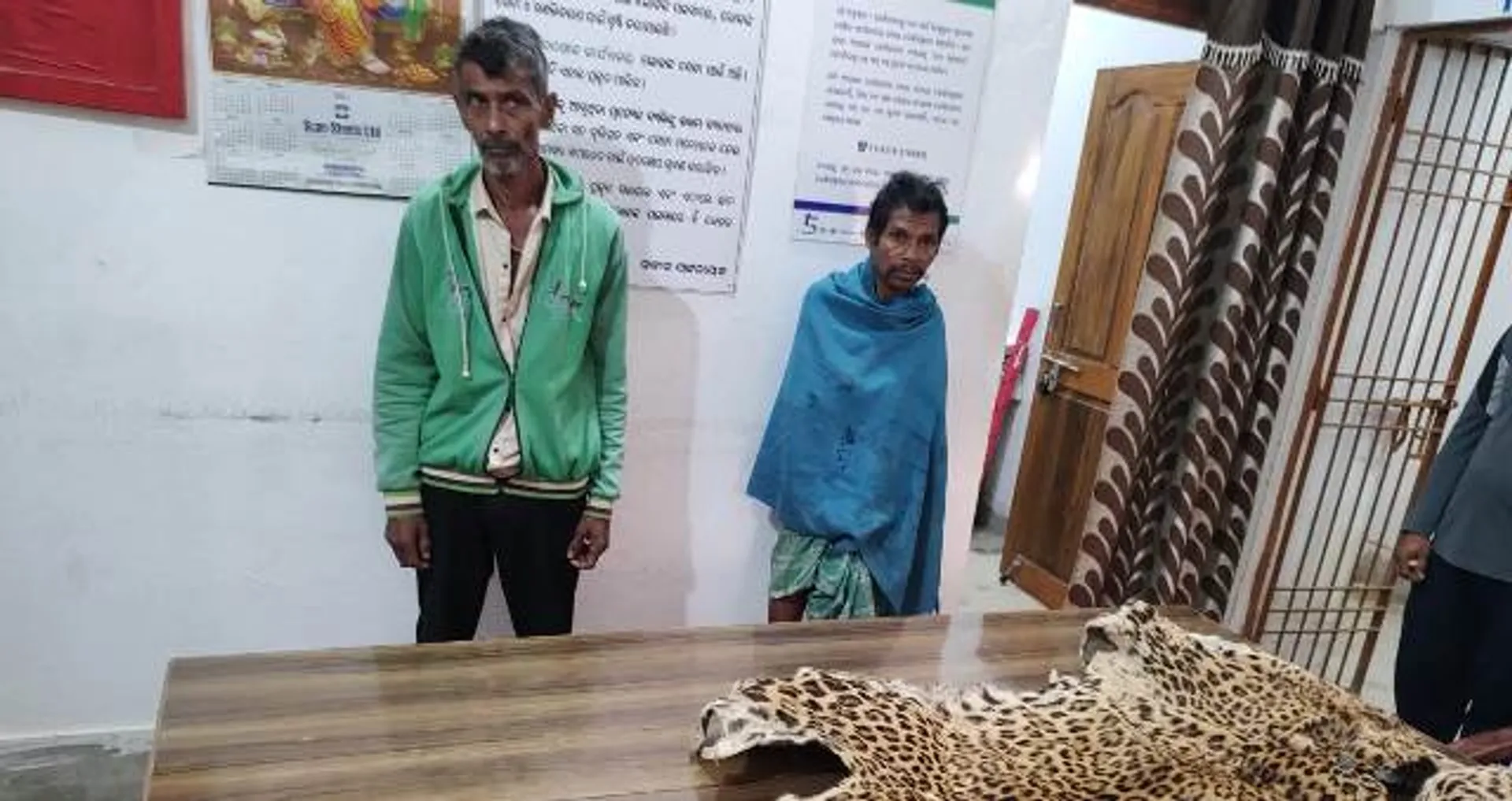 ରିଆମାଳ ଫରେଷ୍ଟରେଞ୍ଜରେ କଲରାପତରିଆ ବାଘଛାଲ ଜବତ: ଦୁଇ ଗିରଫ