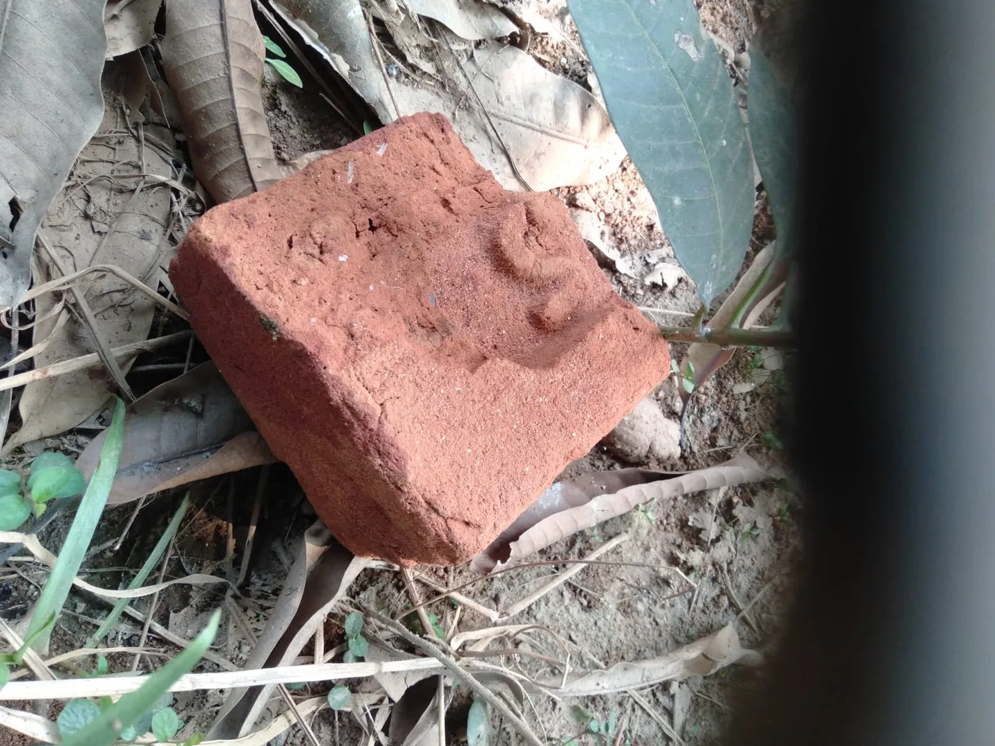 ଝାରସୁଗୁଡ଼ାରେ ଚାଞ୍ଚଲ୍ୟ: ମଦ ବୋତଲ ଓ ଇଟାରେ ସାଙ୍ଗକୁ ହତ୍ୟା