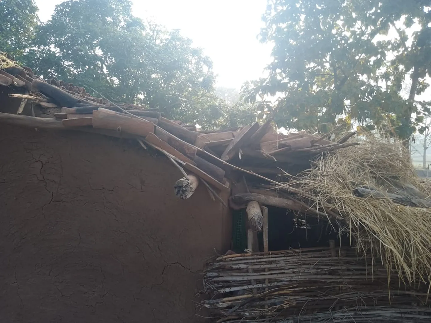 କୋମନା ବ୍ଳକରେ ହାତୀ ଆତଙ୍କ: ଅଭିଯୋଗ କଲେ କର୍ଣ୍ଣପାତ କରୁନି ବନବିଭାଗ