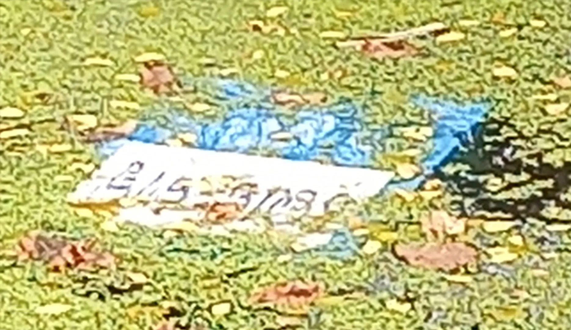 ଦଳଭର୍ତ୍ତି ଗାଡ଼ିଆରେ ଭାସୁଛି ଭୋଟ ବାକ୍ସ: ୮ ବୁଥ୍‌ରେ ହେବ ସାନି ମତଦାନ