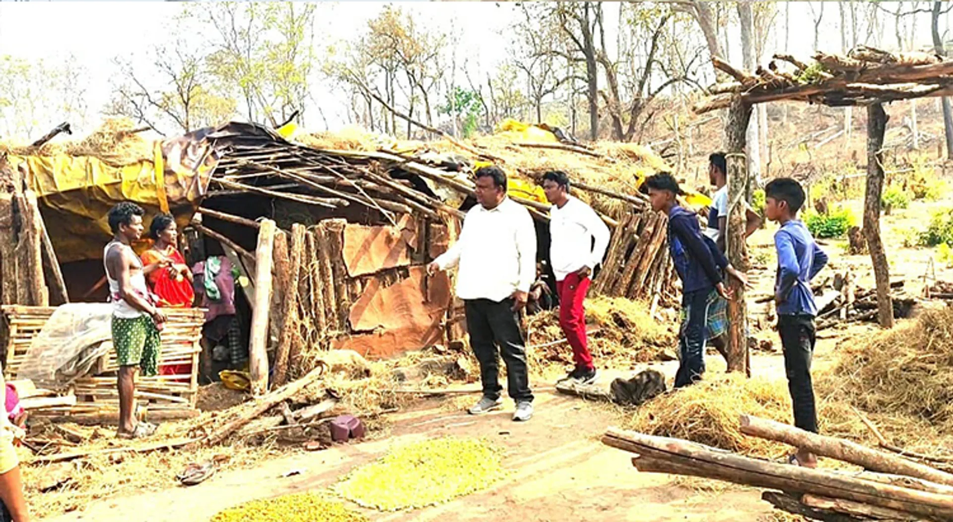 ହାତୀ ଉପଦ୍ରବ, ବେଘର ହେଲେ ୭ ପରିବାର