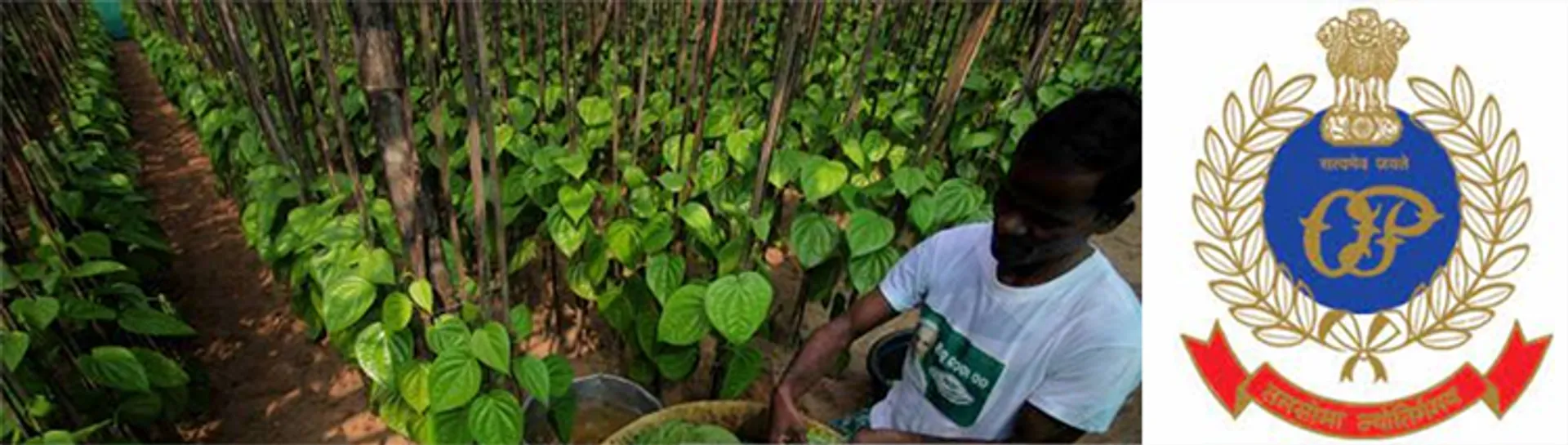 ଢିଙ୍କିଆ: ପୁଲିସର ମାତ୍ରାଧିକ କାର୍ଯ୍ୟାନୁଷ୍ଠାନ, ମେ’ ୧ରୁ ବିକ୍ଷୋଭ