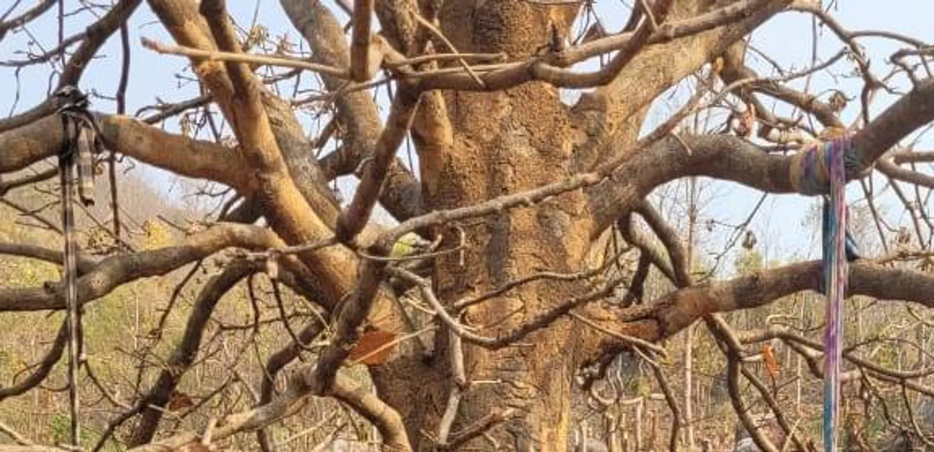 ପ୍ରେମୀଯୁଗଳଙ୍କ ଆତ୍ମହତ୍ୟା: ବିବାହିତ ଥିଲେ ପ୍ରେମିକ