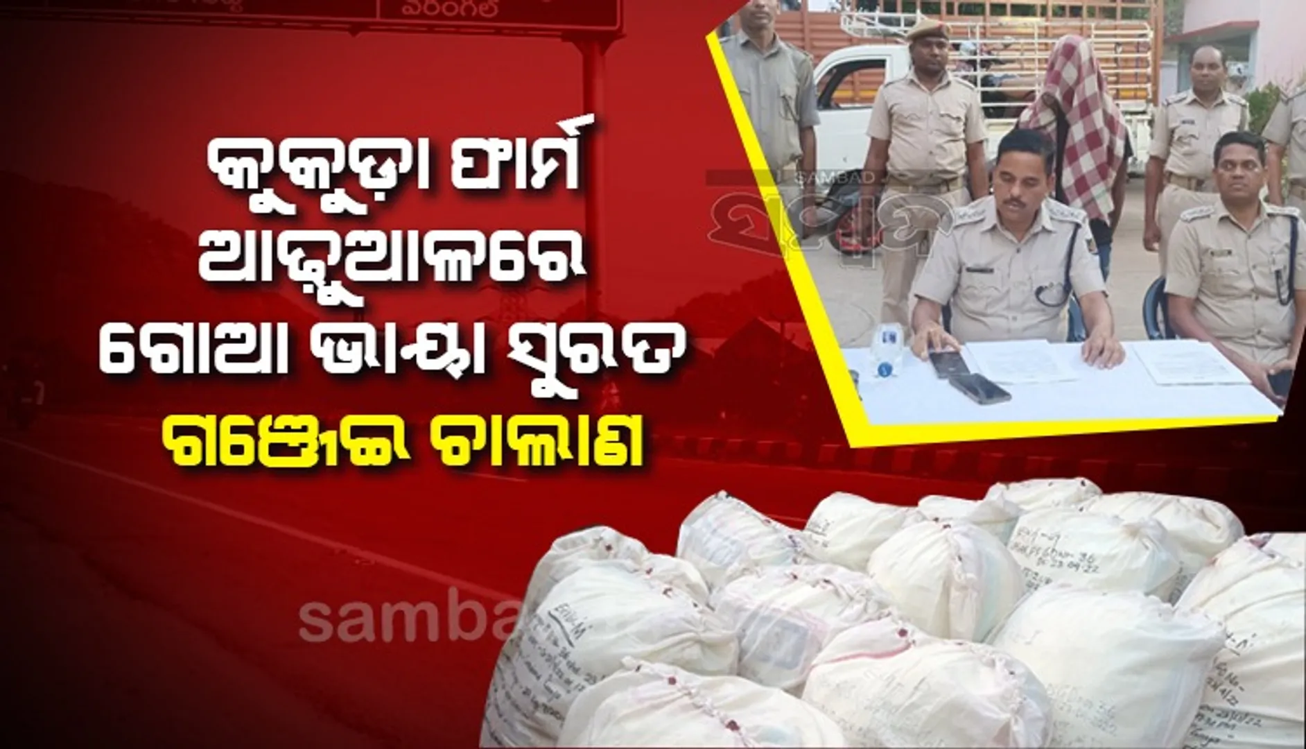 କୁକୁଡ଼ା ଫାର୍ମ ଆଢୁଆଳରେ ଗଂଜାମରୁ ସୁରତ ଗଞ୍ଜେଇ ଚାଲାଣ; ୫ ଫେରାର