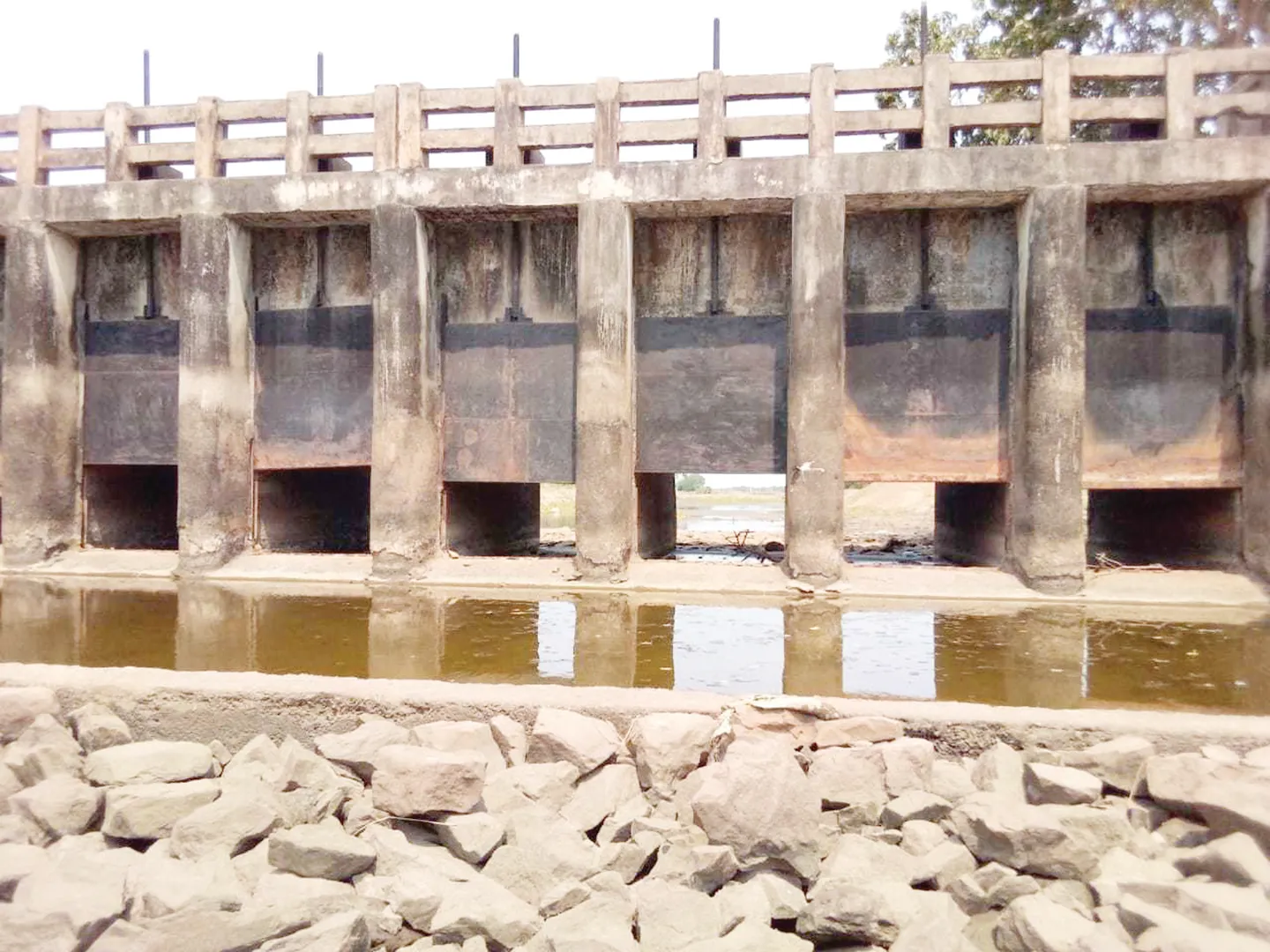 ଲୁଣା ଜୁଆର ଖାଉଛି ପରିବା ଚାଷ: ଅଳକା ଖନନ ନେଇ ବଢ଼ୁଛି ଚାଷୀ ଅସନ୍ତୋଷ