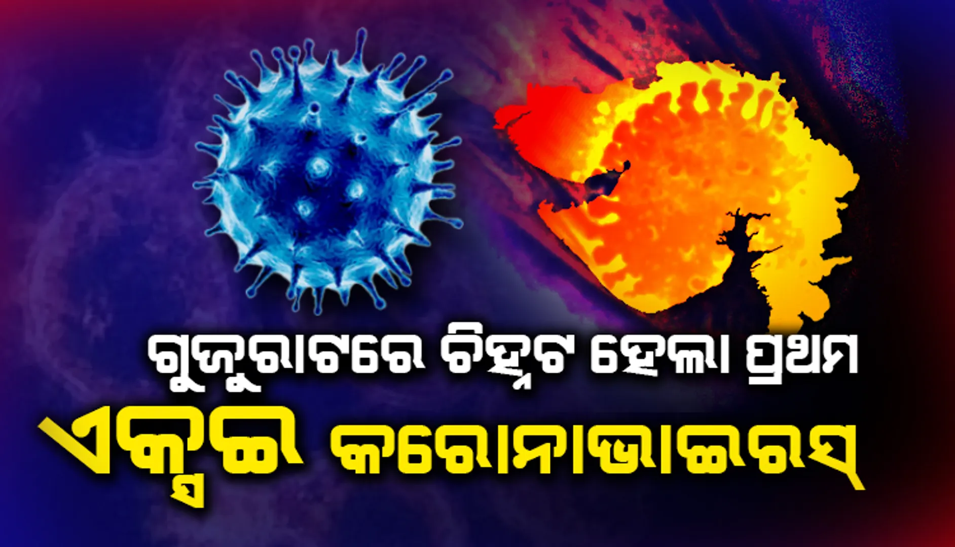 ଗୁଜରାଟରେ  ପ୍ରଥମ ‘ଏକ୍ସଇ କରୋନାଭାଇରସ୍‌’ ଚିହ୍ନଟ