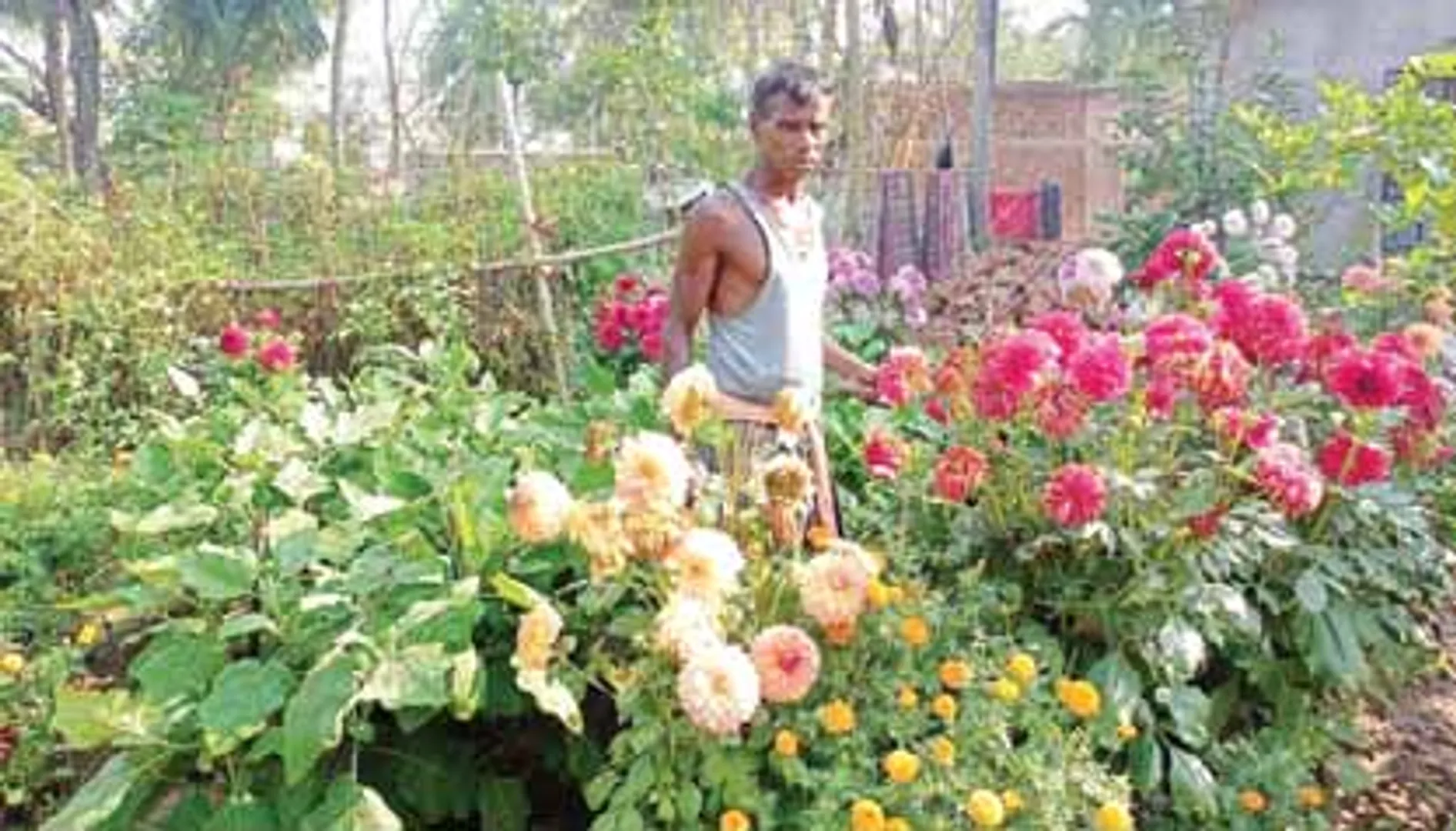 ଅବସର ସମୟର ସଦୁପଯୋଗ, ଫୁଲଫଳରେ ହସୁଛି ରାମଚନ୍ଦ୍ରଙ୍କ ବଗିଚା