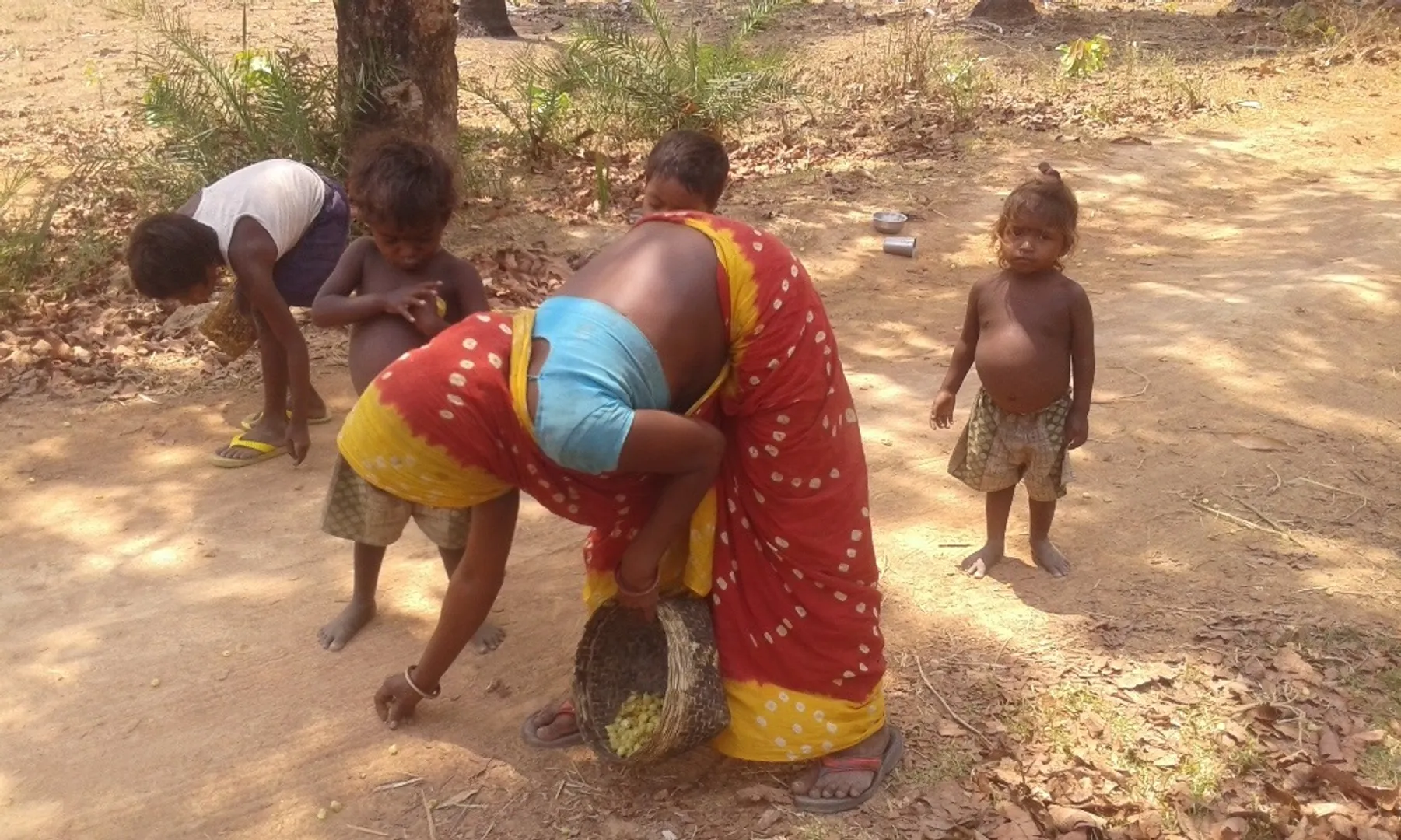 ଉଚିତମୂଲ୍ୟ ପାଉନାହାନ୍ତି ମହୁଲ ଗୋଟାଳି