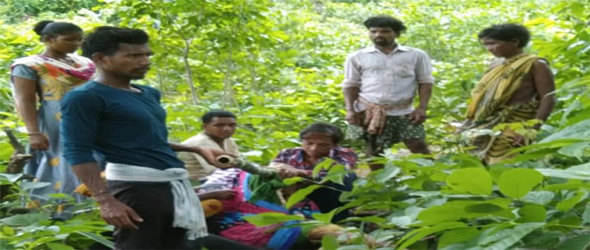 ପୁଣି ଜନନୀ ଯନ୍ତ୍ରଣା: ଭାରରେ ବୁହାହେଲେ, ଗଛତଳେ ପ୍ରସବ କଲେ