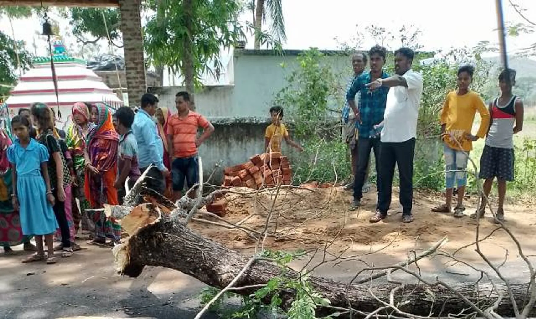 ପୂଜା ପାଇଁ ମନ୍ଦିରକୁ ଆସିଥିଲେ ଅଟୋ ଚାଳକ, ଗଛ ଡାଳ ପଡି ମୃତ୍ୟୁ