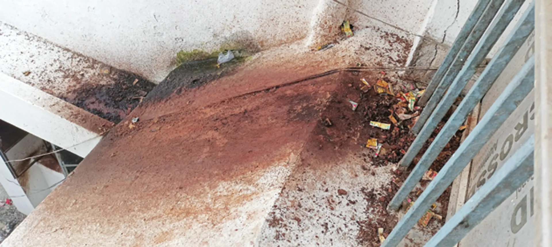 ତମାଖୁ ସେବନ ଅପରାଧ ସୂଚନାକୁ ମାନୁଛି କିଏ ? ଜିଲ୍ଲାପାଳଙ୍କ ଅଫିସ୍‌ ପରିସରରେ ଅଳିଆ ଗଦା, ପାନଛେପ