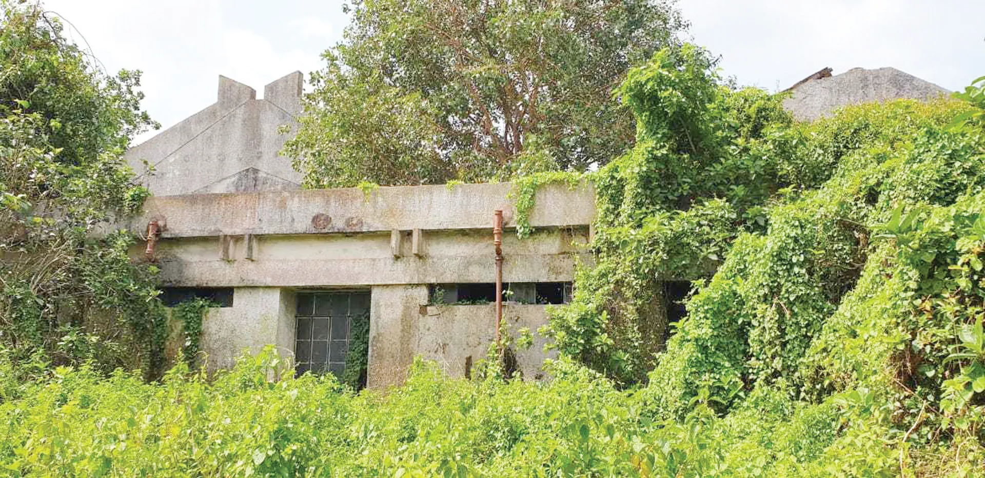 ଶାରଳା ସୂତାକଳ ନେଇ ନିର୍ବାଚନୀ ପ୍ରତିଶ୍ରୁତି ଫିକା, ବିକଳ୍ପ କଣ ?