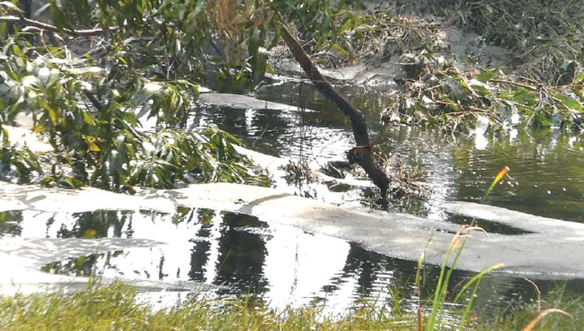 ଆଇଓସିଏଲ୍‌ ପାଇପ୍‌ ଲାଇନ୍‌ ଫାଟିଲା: ତେଲ ପୋଖରୀର ଭ୍ରମ