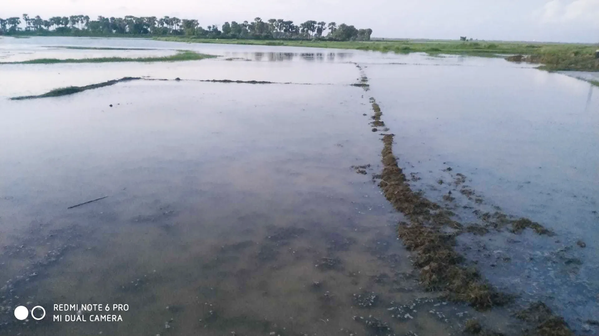 ବିଭାଗୀୟ ଅଧିକାରୀ ଗାଁ ସ୍ଥିତି ଅନୁଧ୍ୟାନ କରି ପଦକ୍ଷେପ ନେବାକୁ ଦାବି