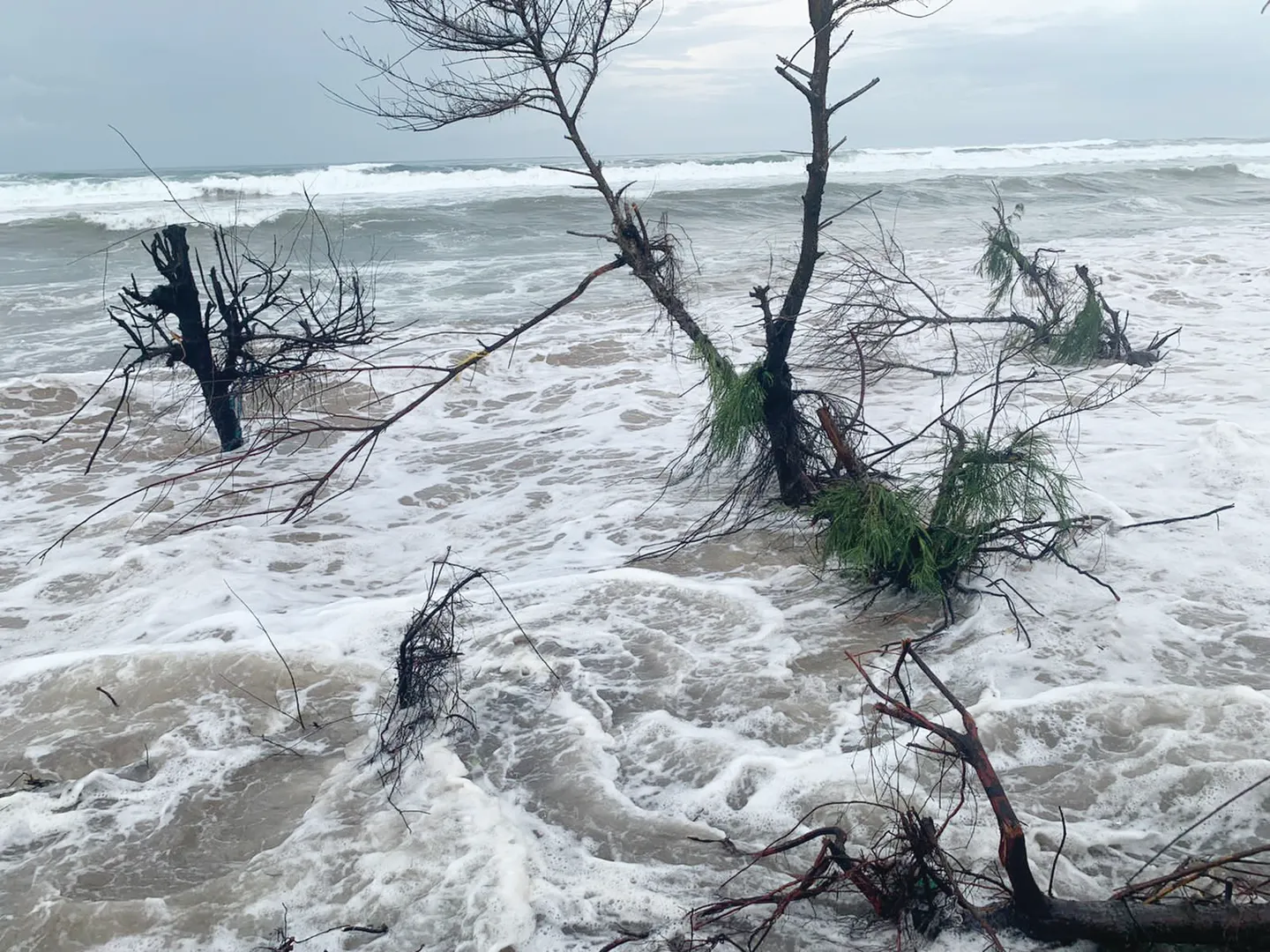ମାଡ଼ିଗଲା ଜୁଆର; ବିପଦରେ ଶିଆଳି ବେଳାଭୂମି ଭ୍ୟୁ ଟାୱାର୍‌