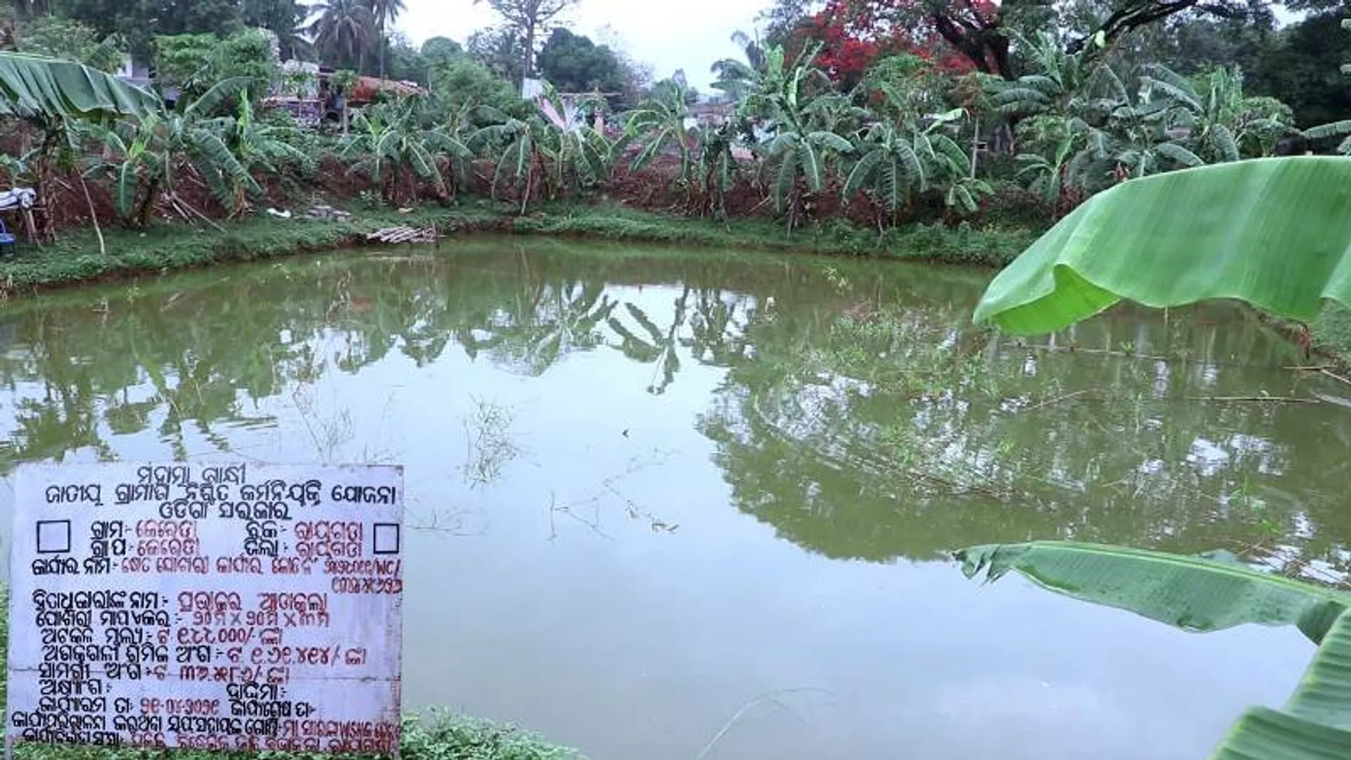 ଗୋଡ଼ା ପଞ୍ଚାୟତରେ ‘ମୋ ପୋଖରୀ’ ଯୋଜନାରେ ହରିଲୁଟ୍, ୧୩ ପୋଖରୀ ନ ଖୋଳି ମିଥ୍ୟା ବିଲ୍!