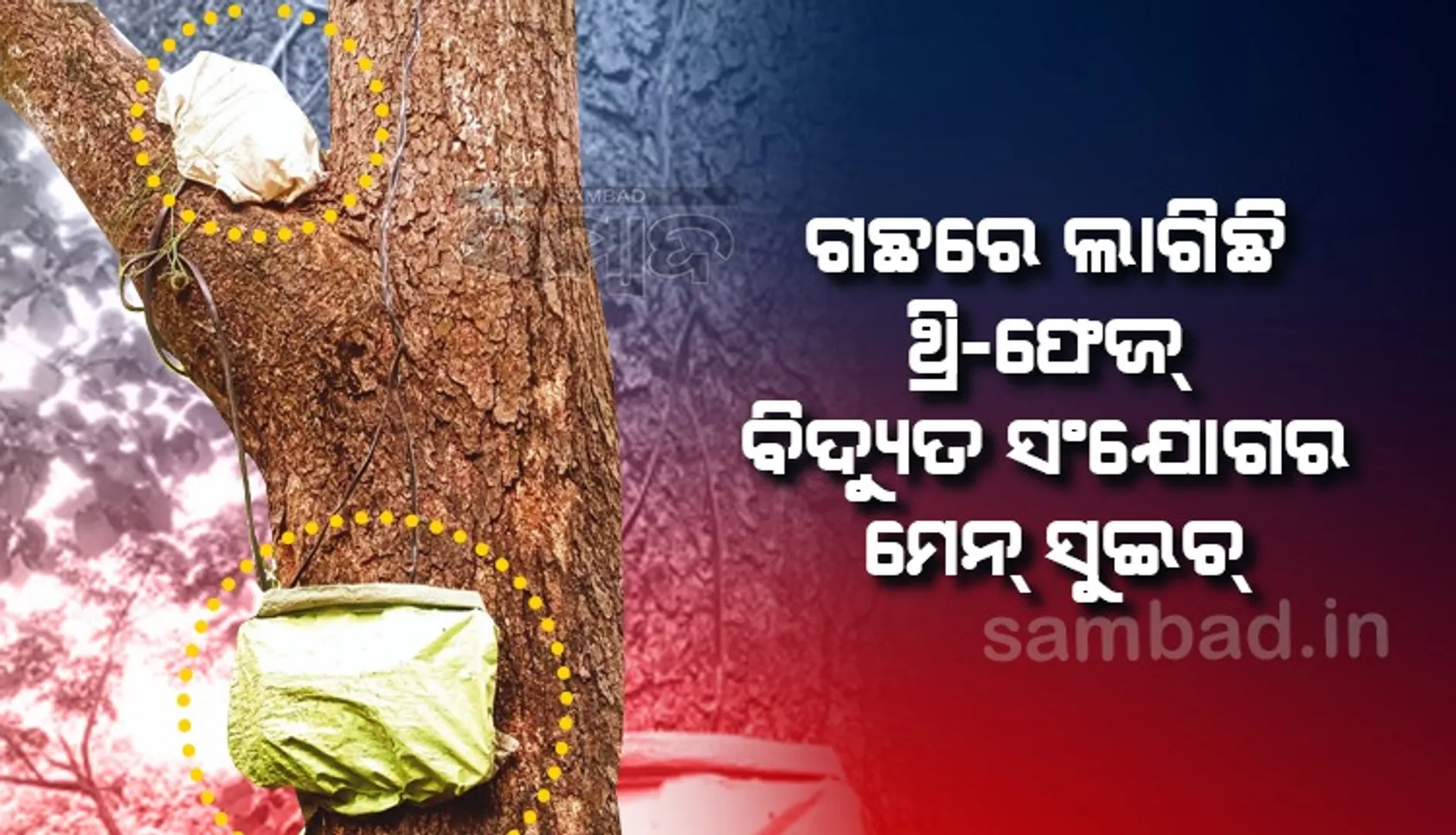 ପାଣି ପାଇଁ ଜୀବନ ସହ ଖେଳ, ଅଘଟଣ ଘଟିଲେ ଦାୟୀ କିଏ? ଗଛରେ ଲାଗିଛି ମେନ୍ ସୁଇଚ୍