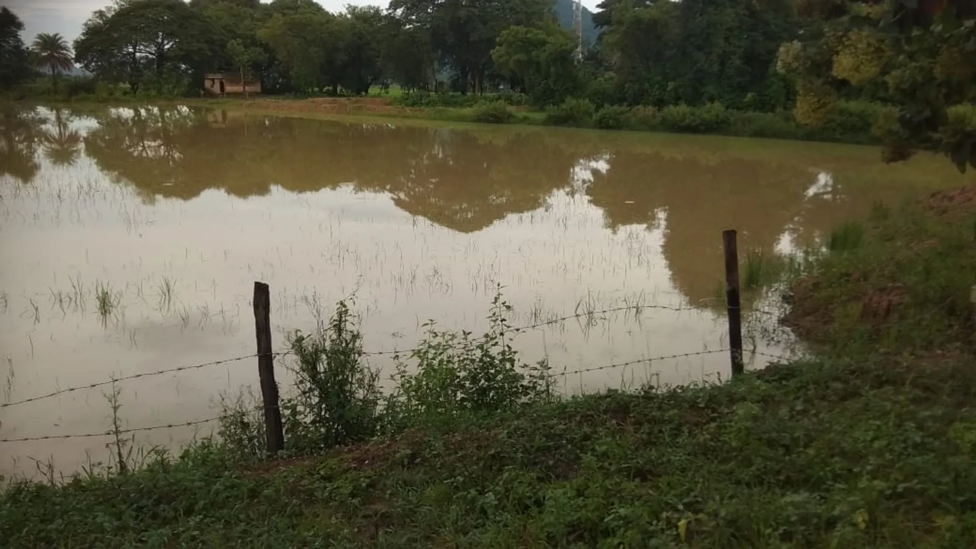 ଉପର ମୁଣ୍ଡରେ ପ୍ରବଳ ବର୍ଷା,ଜମିରୁ ଛିଡ଼ୁନି ପାଣି