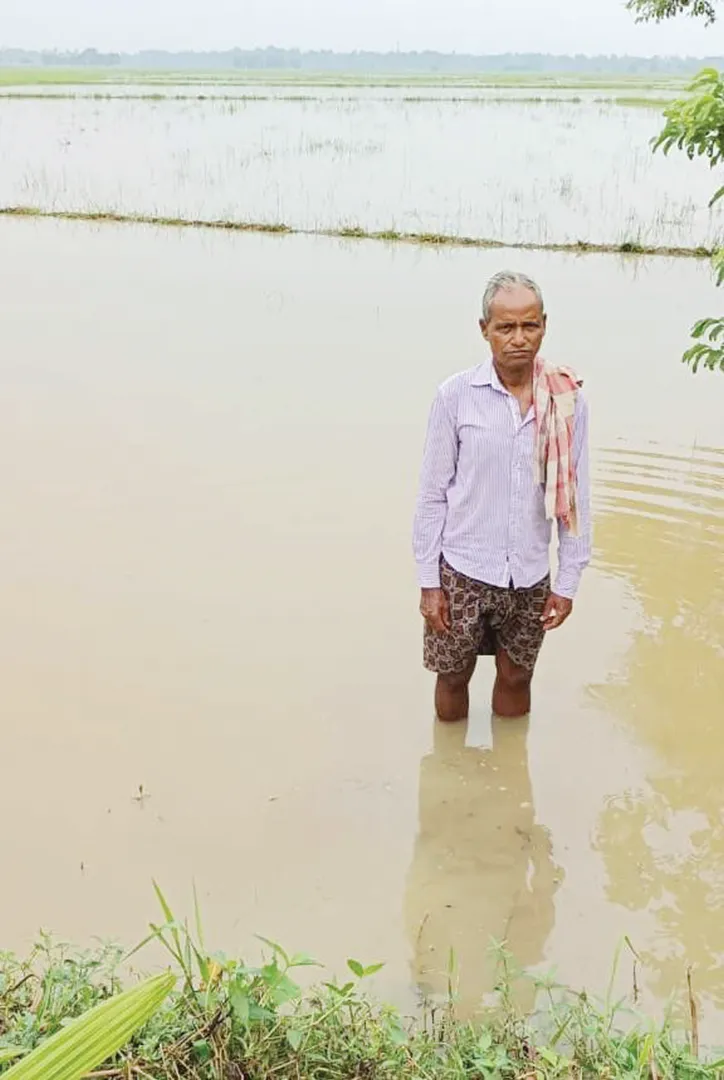 ଜଳ ନିଷ୍କାସନ ସମସ୍ୟା, ଚାଷ ଠପ୍‌