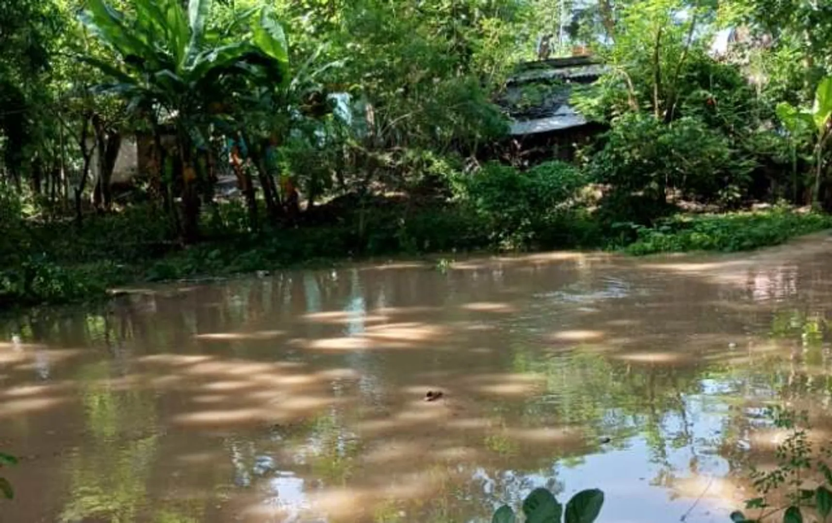 ବିରିଡିରେ ୪୦ ପରିବାର ପାଣି ଘେରରେ