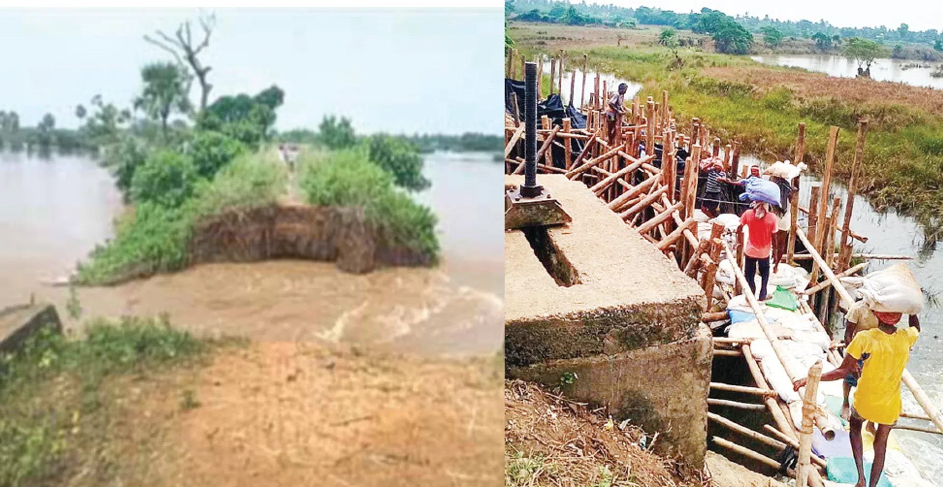 କୁଶଭଦ୍ରା ନଦୀବନ୍ଧ ଘାଇ: ଭାଙ୍ଗିଗ‌ଲା ନା ଭାଙ୍ଗିଦେଲେ