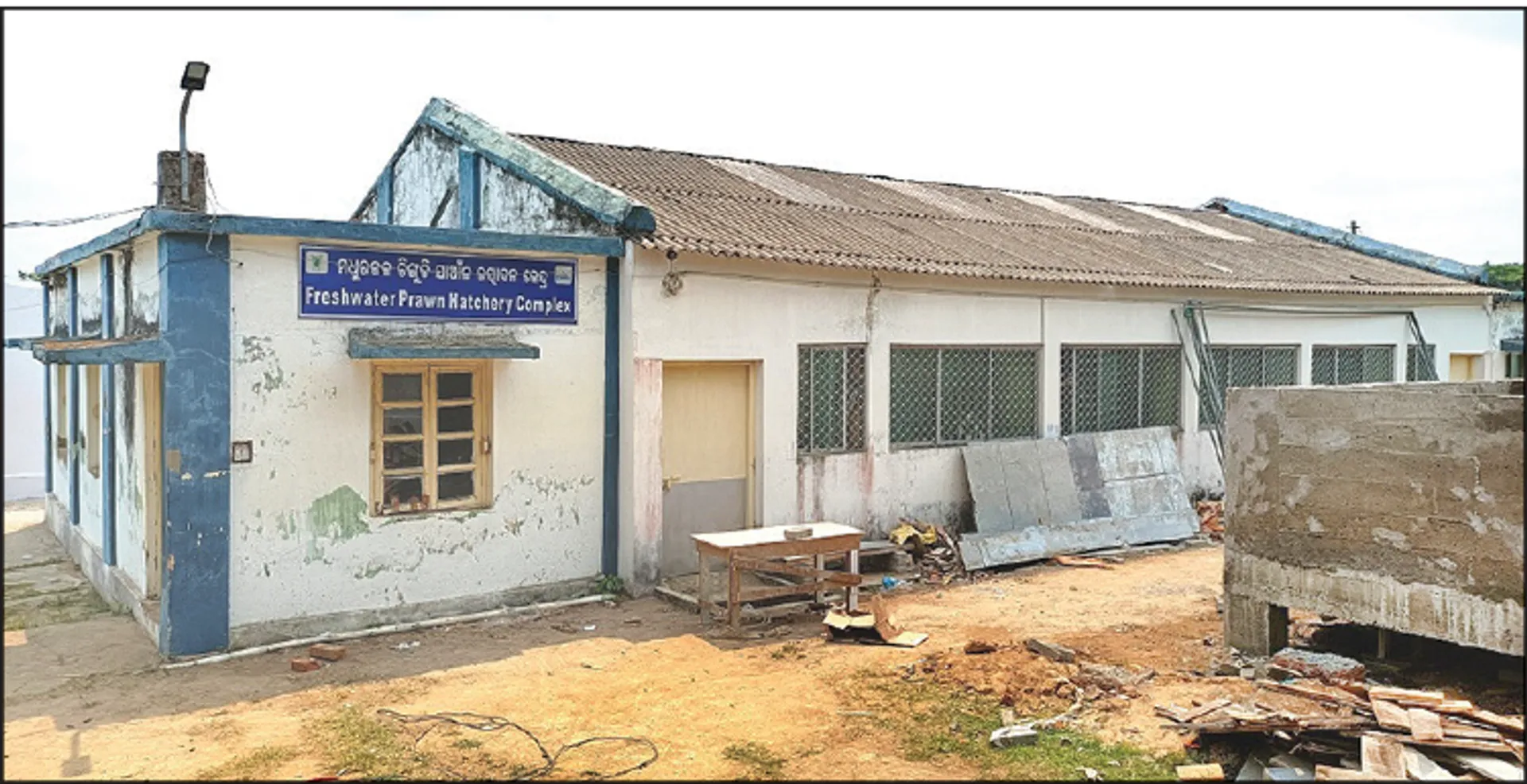 ସିଫା: ଉପରେ ଚକ୍‌ଚକ୍‌, ଭିତରେ ଫମ୍ପା