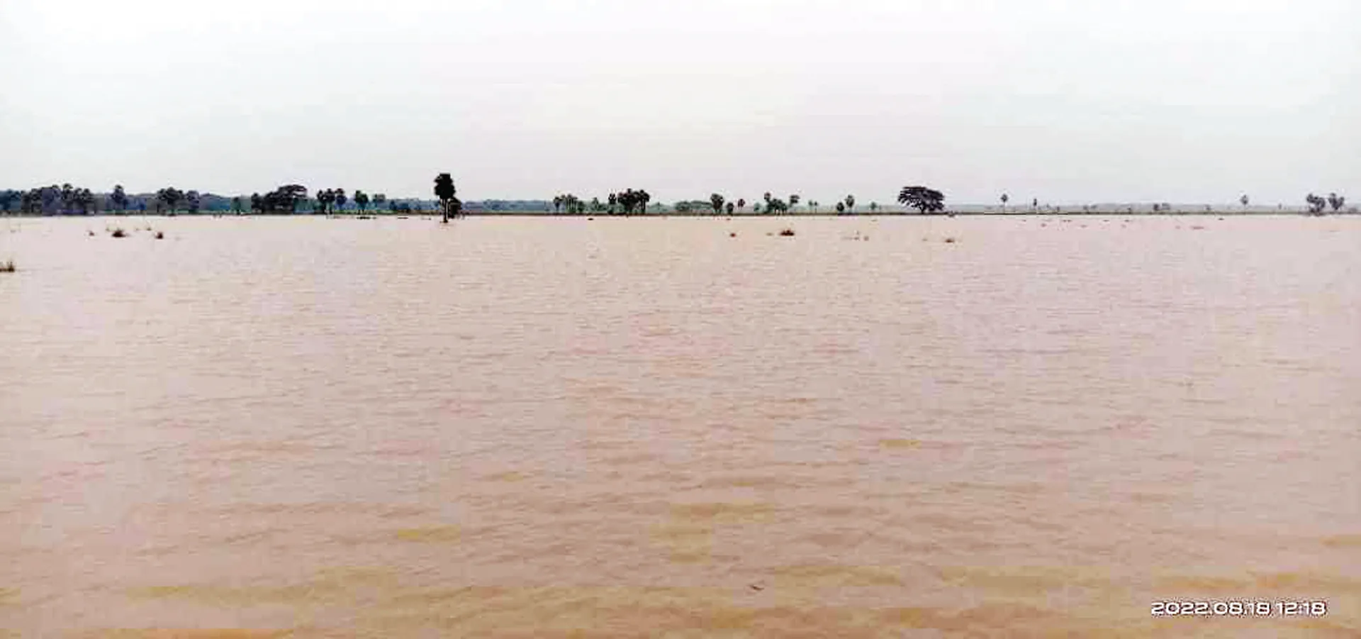 ଯୋକଇ କ୍ରିକ୍ ବିପର୍ଯ୍ୟସ୍ତ, ଉଜୁଡ଼ି ଯାଉଛି ୪୦୦ ଏକର ଜମିର ଫସଲ