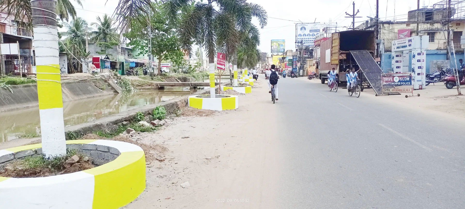 ପାମ୍‌ ଗଛର ସୌନ୍ଦର୍ଯ୍ୟୀକରଣ ନେଇ ପ୍ରଶ୍ନବାଚୀ: ପୁରୁଣା ଉଜୁଡ଼ିଲାଣି, ନୂଆ ରହିବ ତ?