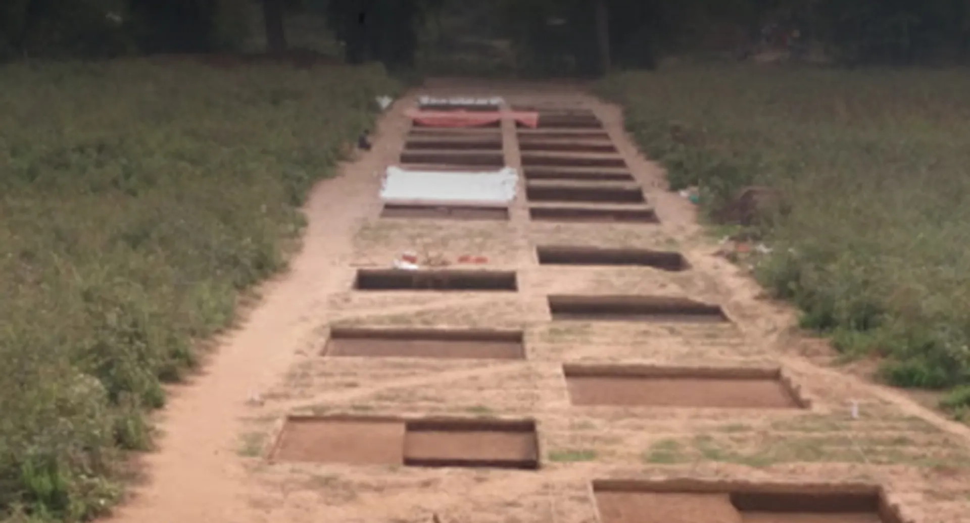 ଅସୁରଗଡ଼ରେ ଏଏସ୍ଆଇ ବିଶେଷଜ୍ଞଙ୍କ ଅନୁଧ୍ୟାନ